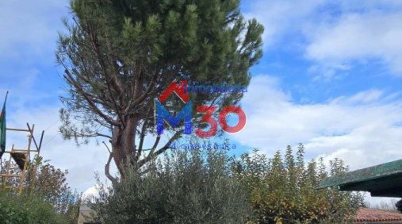 Burgos - Miranda de Ebro - 500m2