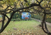 Non-developable land for sale in Miranda de Ebro ref: TR360871 photo
