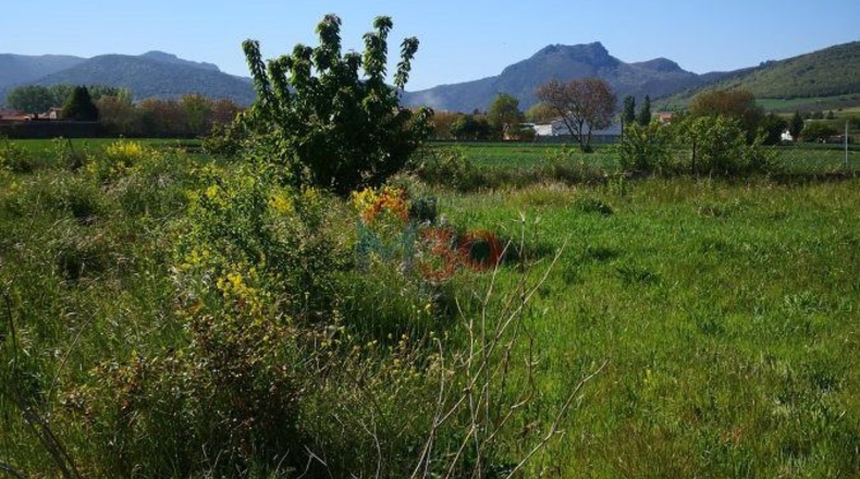 La Rioja - Fonzaleche - 1100m2