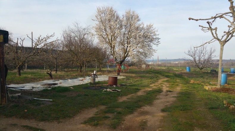 Burgos - Miranda de Ebro - 4000m2