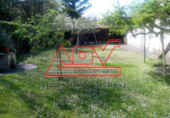 Finca rústica en venta en A Baixa de Trazo ref: TR18464 foto