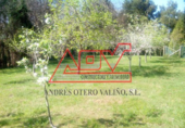 Finca rústica en venta en A Baixa de Trazo ref: TR18464 foto