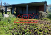 Industrial warehouse for sale in Cedeira ref: TR48107 photo
