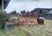 Xalet independent amb terreny en venda a Cedeira ref.: TR93455 foto