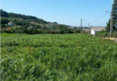 Terreny no urbanitzable en venda a Neda ref.: TR21866 foto