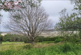 Valdoviño 6750&nbsp;м²