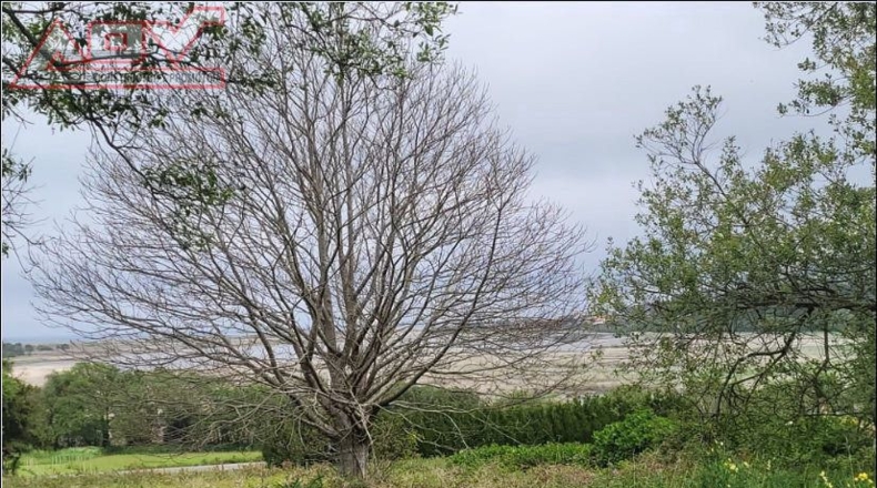 La Coruña - Coto do Vilar - 6750m2