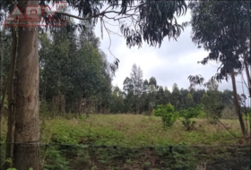 Valdoviño 6750&nbsp;м²