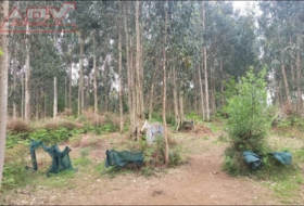 Valdoviño 6750&nbsp;м²