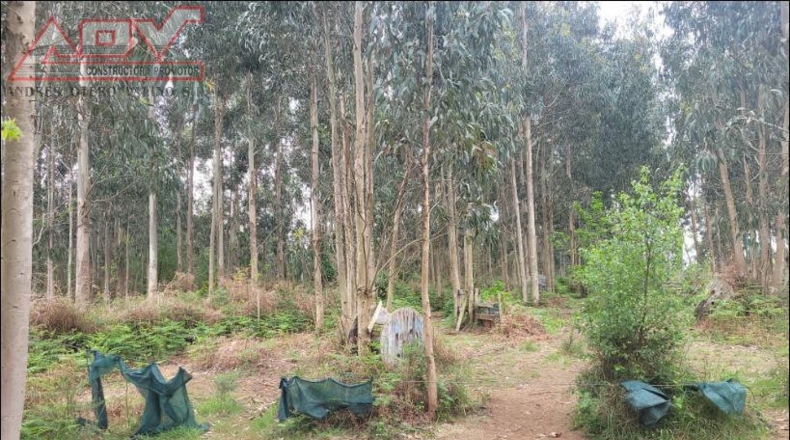 La Coruña - Coto do Vilar - 6750m2