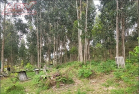 Valdoviño 6750&nbsp;м²