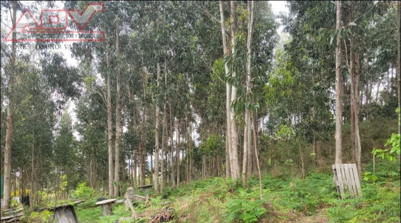 La Coruña - Coto do Vilar - 6750m2