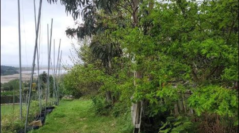 La Coruña - Coto do Vilar - 6750m2