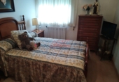 Chalet independiente con terreno en venta en Ferrol ref: TR21079 foto