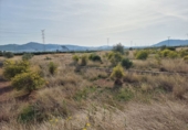 Land suitable for development for sale on España, La Vall d'Uixó, ref: TR32375 photo