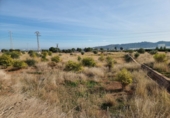 Land suitable for development for sale on España, La Vall d'Uixó, ref: TR32375 photo