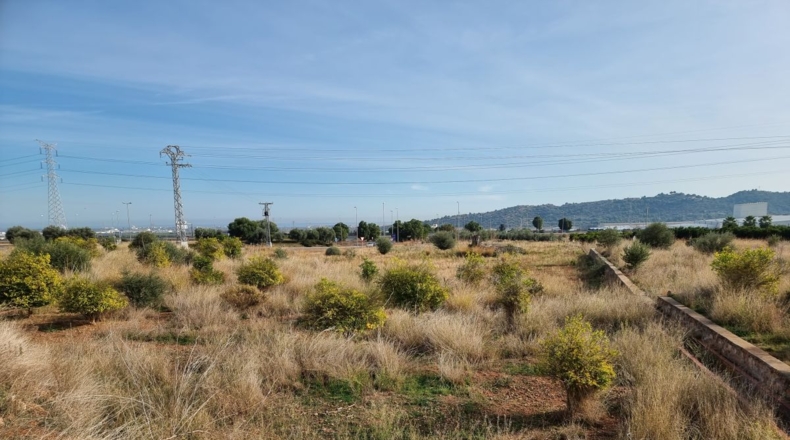 Castellón - La Vall d'Uixó - 1677m2