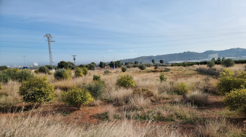 Castellón - La Vall d'Uixó - 1677m2
