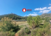 Terreny no urbanitzable en venda a la Vall d'Uixó ref.: TR99427 foto