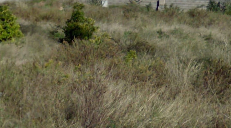 Castellón - la Vall d'Uixó - 568m2