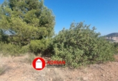 Suelo urbano en venta en La Vall d'Uixó ref: TR107634 foto