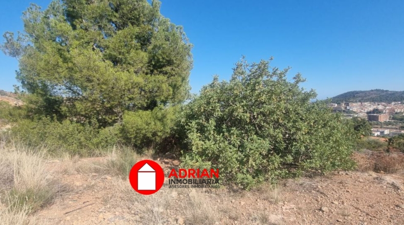 Castellón - la Vall d'Uixó - 452m2