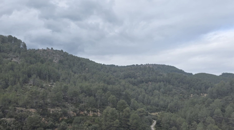 Castellón - Eslida - 339m2