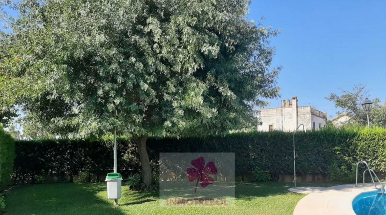 Sevilla - Villanueva del Ariscal - 222m2