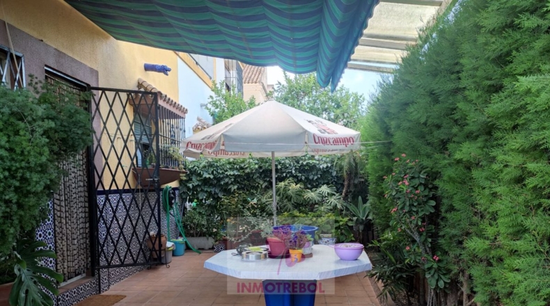 Sevilla - Villanueva del Ariscal - 222m2