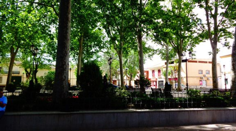 Ciudad Real - Argamasilla de Alba - 300m2