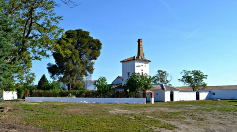 Ciudad Real - Cinco Casas - 35207m2