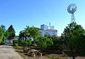 Промышленное здание на продажу в городе Argamasilla de Alba. Фото
