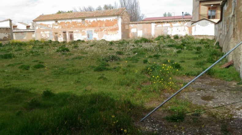Ciudad Real - Argamasilla de Alba - 1494m2