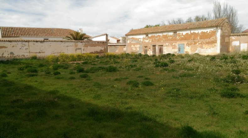 Ciudad Real - Argamasilla de Alba - 1494m2