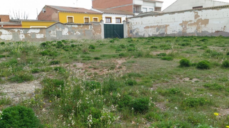 Ciudad Real - Argamasilla de Alba - 1494m2
