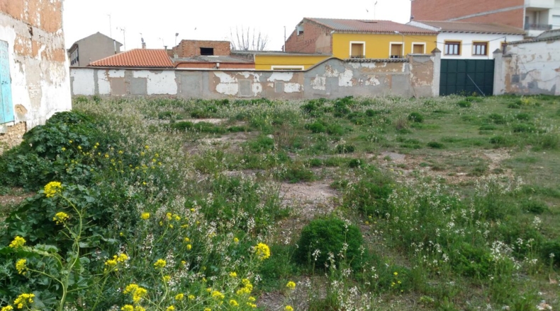 Ciudad Real - Argamasilla de Alba - 1494m2