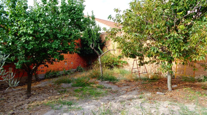 Ciudad Real - Argamasilla de Alba - 511m2