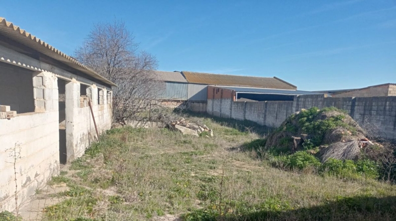 Ciudad Real - Argamasilla de Alba - 957m2