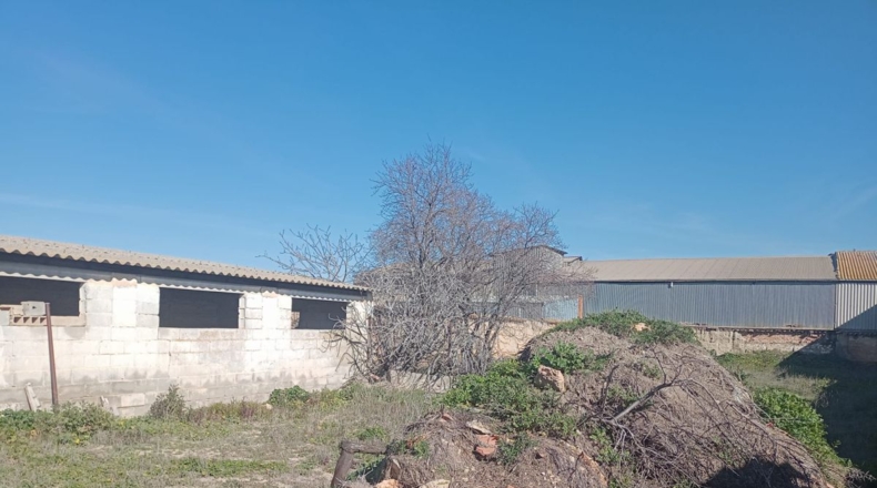 Ciudad Real - Argamasilla de Alba - 957m2