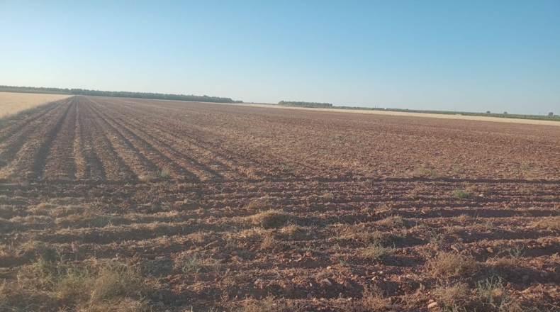 Ciudad Real - Argamasilla de Alba - 39605m2