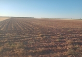 Земля на продажу у города Argamasilla de Alba Фото