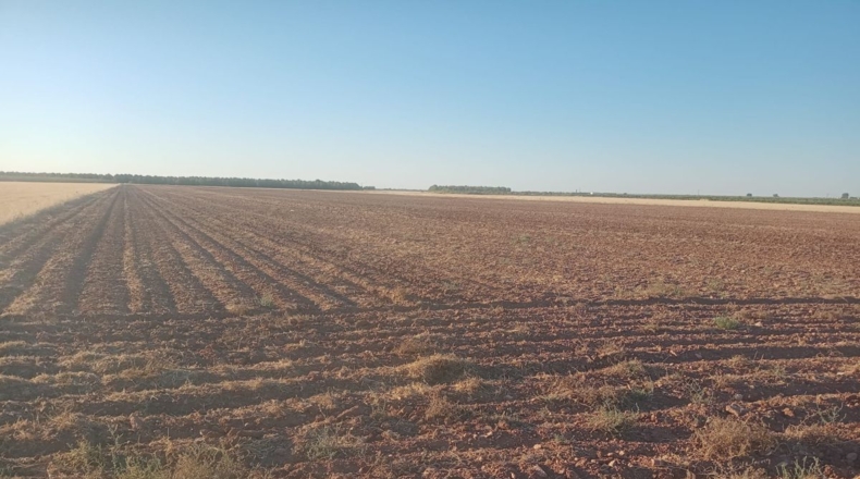 Ciudad Real - Argamasilla de Alba - 39605m2