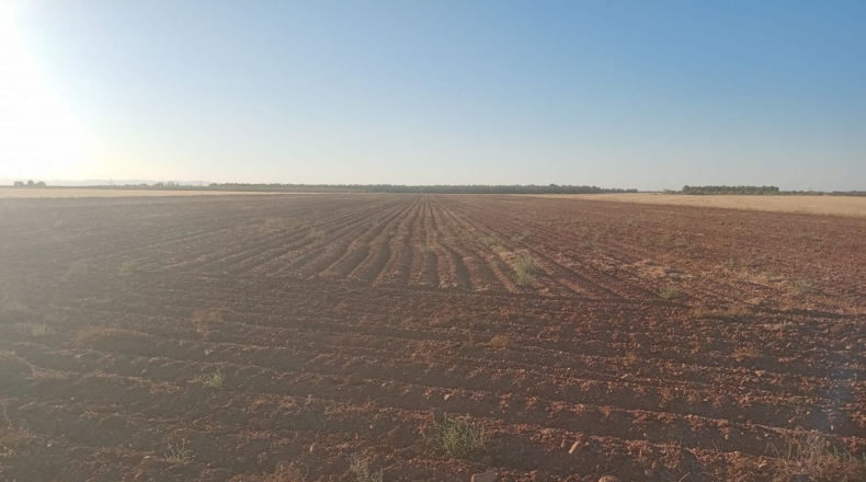 Ciudad Real - Argamasilla de Alba - 39605m2
