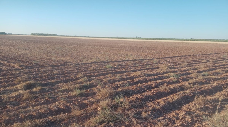 Ciudad Real - Argamasilla de Alba - 39605m2
