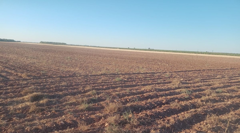 Ciudad Real - Argamasilla de Alba - 39605m2