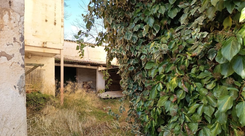 Ciudad Real - Argamasilla de Alba - 748m2