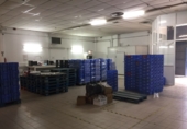 Industrial warehouse for rent in Dos Hermanas ref: TR353898 photo