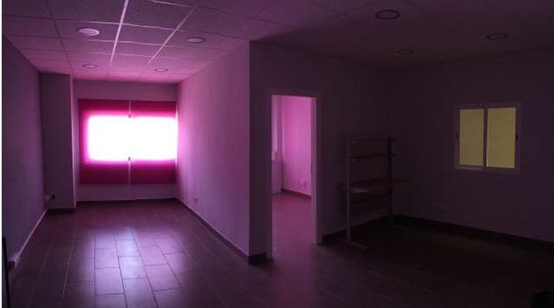 Sevilla - Alcalá de Guadaíra - 300m2