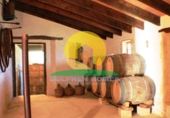 Finca rústica en venta en Ontinyent ref: TR13070 foto