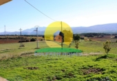 Finca rústica en venta en Ontinyent ref: TR13070 foto